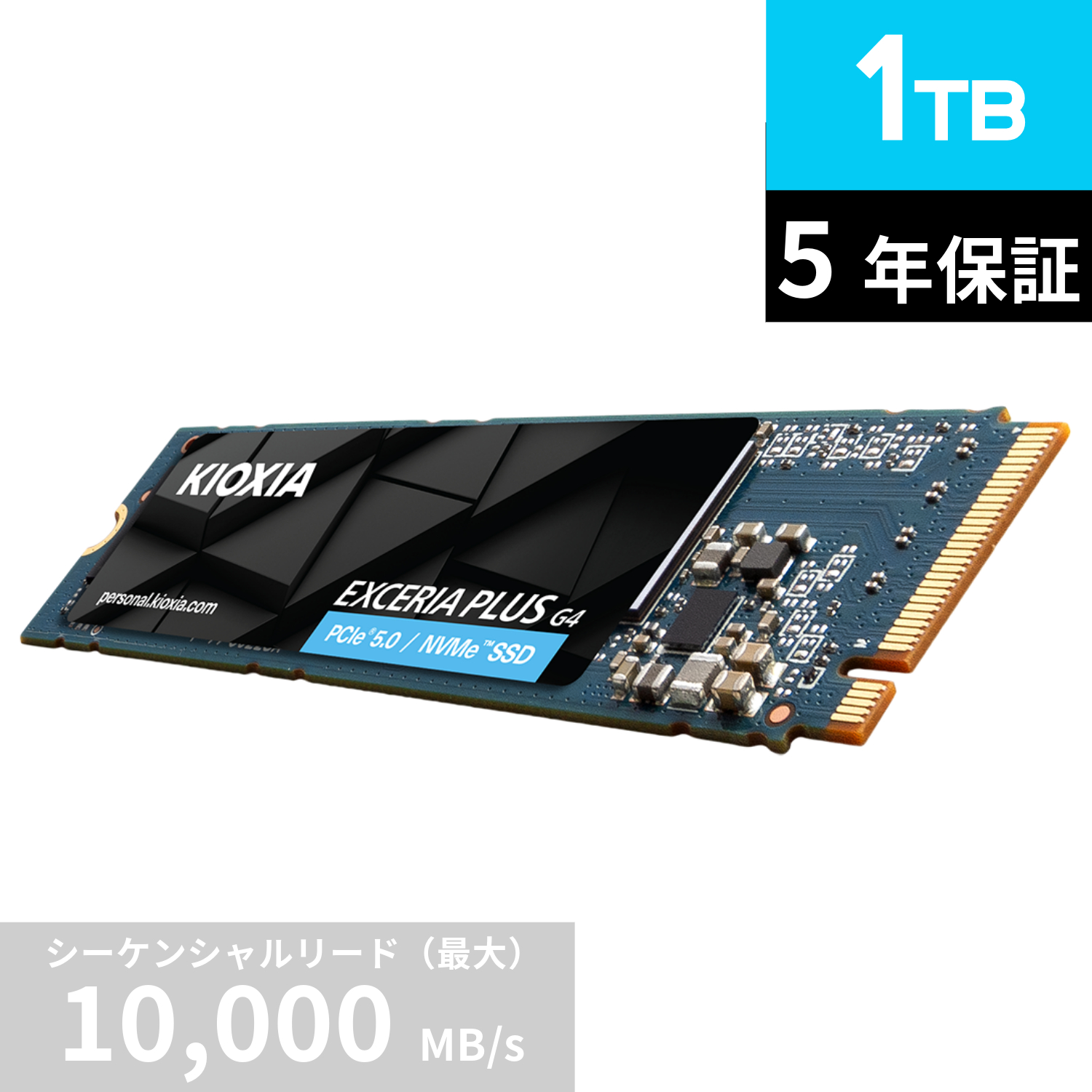 KIOXIA EXCERIA PLUS G4 NVMe SSD-CK1.0N5PLG4J