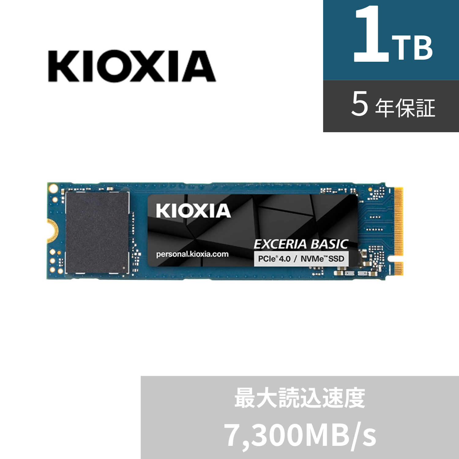 KIOXIA EXCERIA BASIC SSD-CK1.0N4B/J