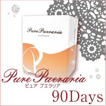 Pure Pueraria ピュアプエラリア 賞味期限21年2月 終売 21 02 02 美容健康卸 激安仕入専門サイト 電商卸