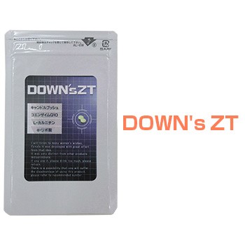 DOWN's ZT（ダウンズゼッティー）【欠品　次回納期未定】