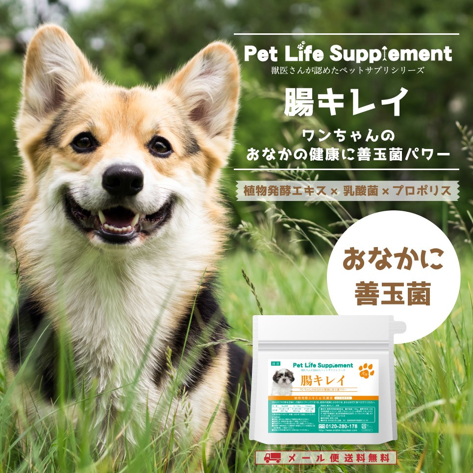 犬の腸キレイ | 株式会社DUAL LIFE 卸売販売サイト