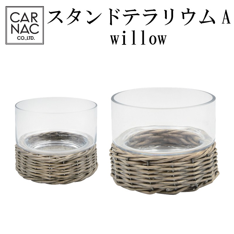 ■カルナック■　スタンドテラリウムA　willow
