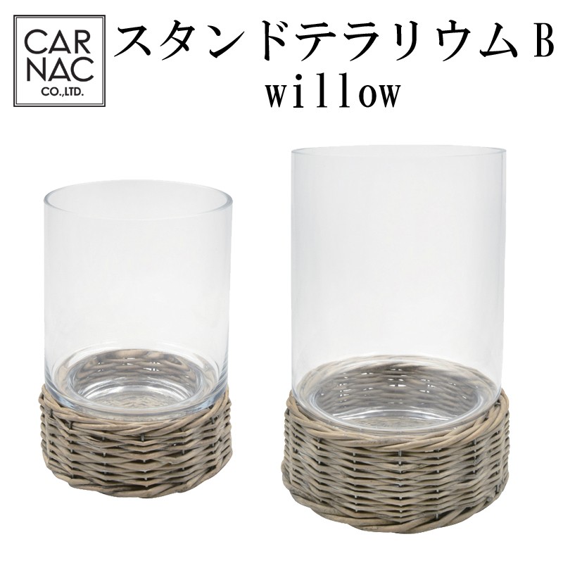 ■カルナック■　スタンドテラリウムB　willow