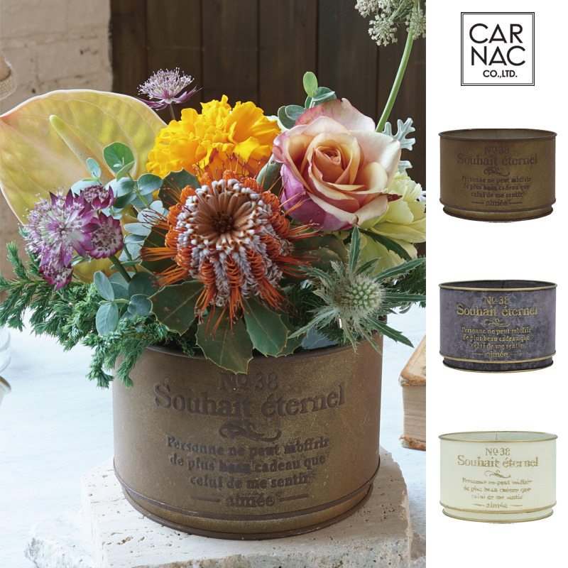 ■カルナック■■2026SS　先行予約■　オアシスポット　B