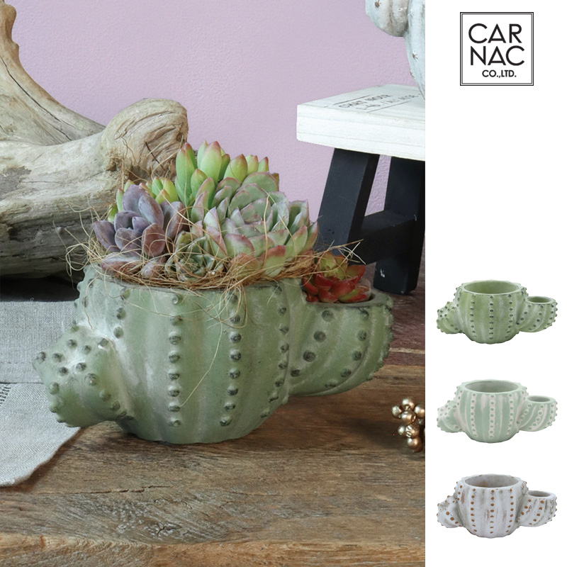 ■カルナック■■2026SS　先行予約■　ヴィンテージカクタスポット　C