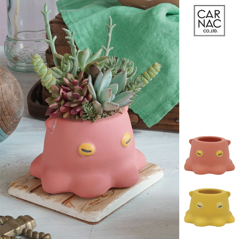 ■カルナック■■2026SS　先行予約■　プランタン　メンダコ