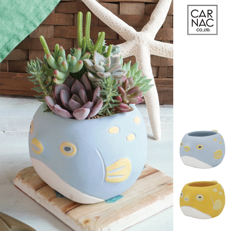 ■カルナック■■2026SS　先行予約■　プランタン　ハコフグ