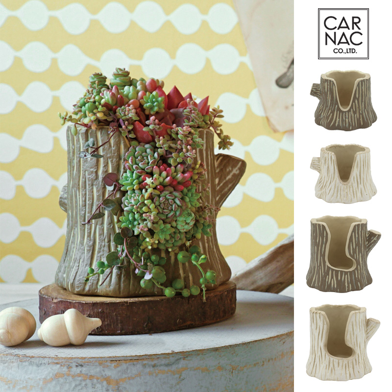■カルナック■■2026SS　先行予約■　サキュレントポット　ツリー　A／B