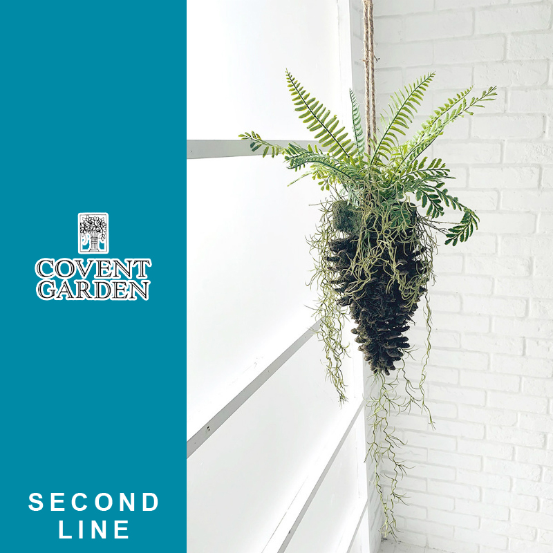 ■コベントガーデン■　【セカンドライン】　ビッグコーン・フェーンハング