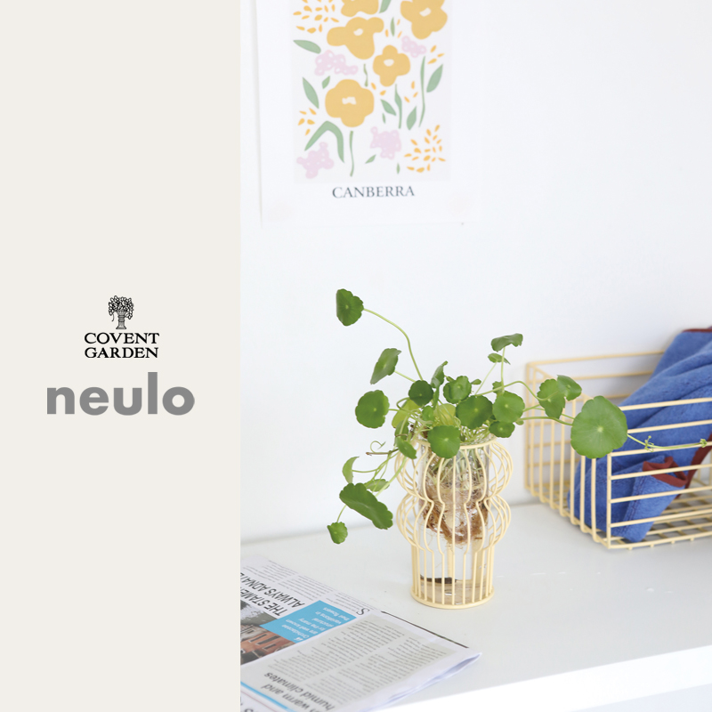■コベントガーデン■■2025AW　新作■　【neulo】 ワイヤーミニベース　yellow