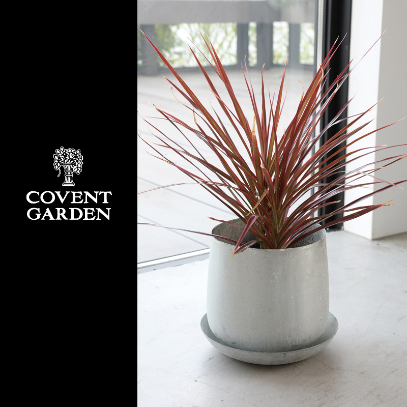 ■コベントガーデン■■2026SS　新作■　グレイニーメタルポット　Lサイズ