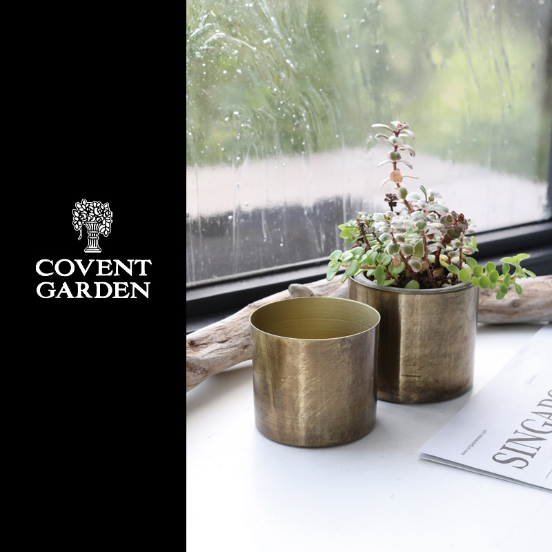 ■コベントガーデン■■2026SS　新作■　ブラスゴールドカップ　2点セット