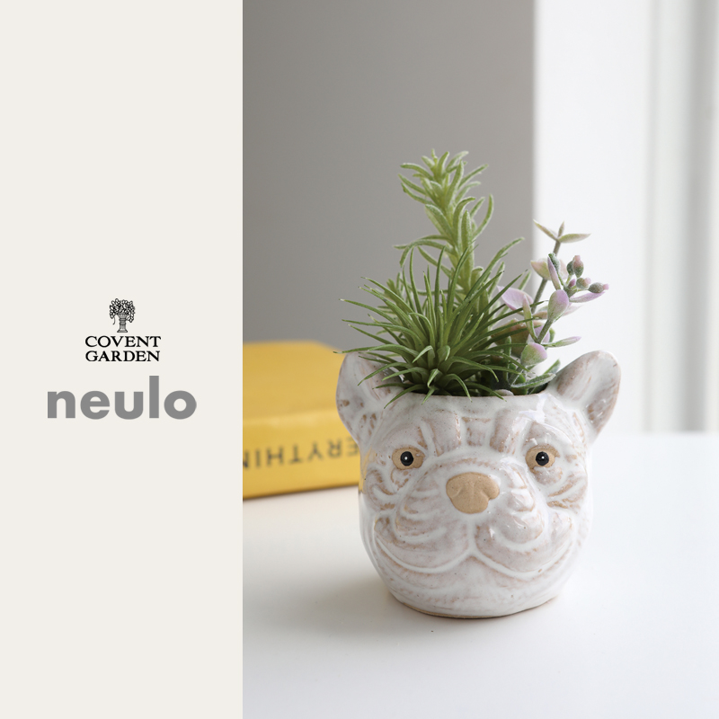 ■コベントガーデン■■2026SS　新作■　【neulo】フェイクサキュレント・オルカ