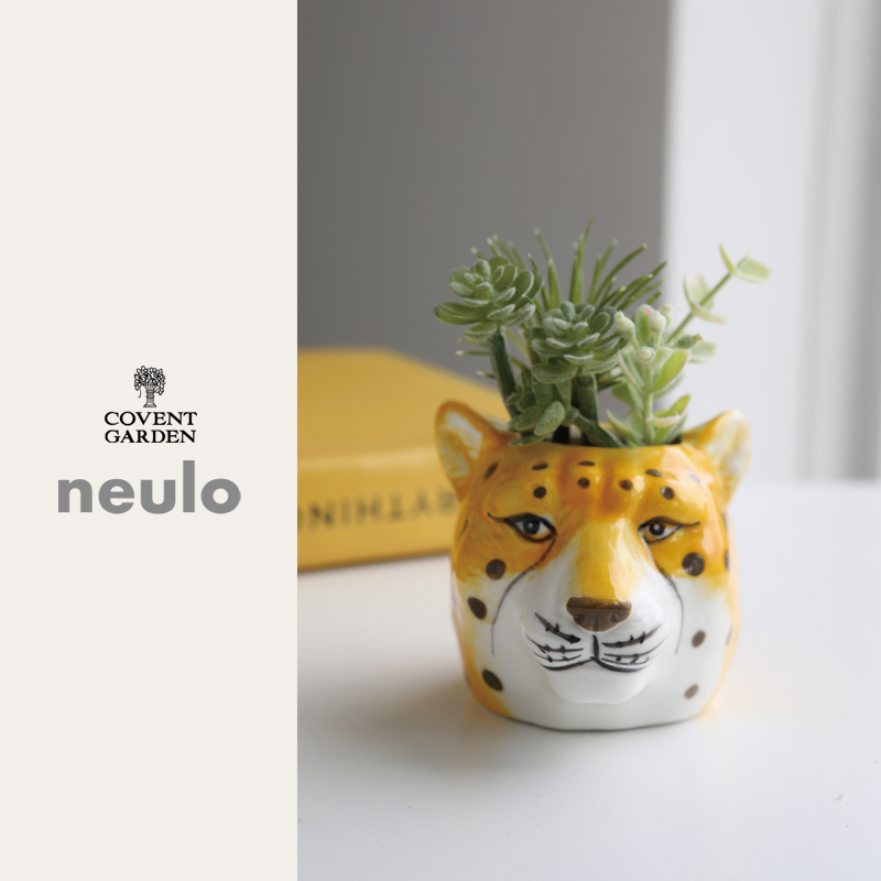 ■コベントガーデン■■2026SS　新作■　【neulo】フェイクサキュレント・レオス