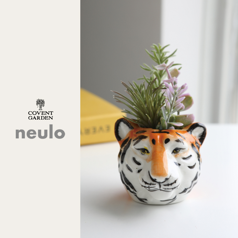 ■コベントガーデン■■2026SS　新作■　【neulo】フェイクサキュレント・リオス