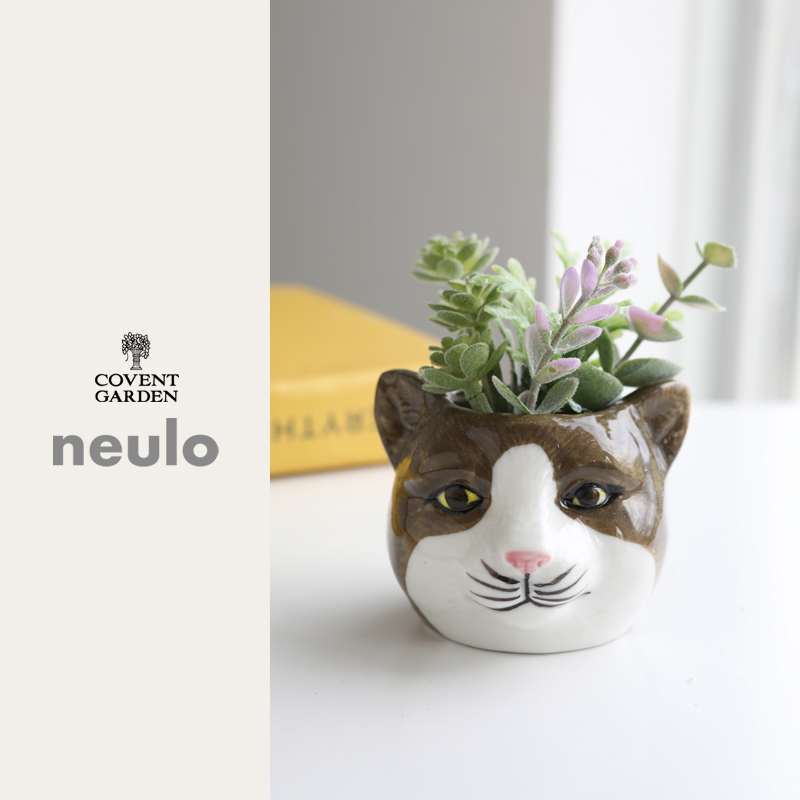 ■コベントガーデン■■2026SS　新作■　【neulo】フェイクサキュレント・フェル