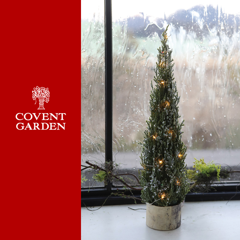 ■コベントガーデン■■2026X'mas　先行予約■　ポインテッドツリー・ショート