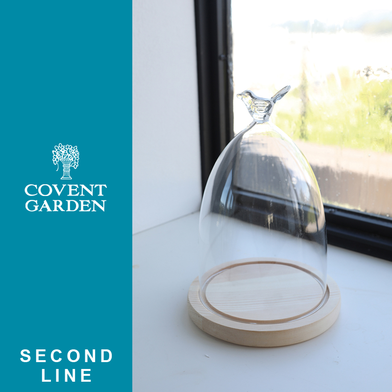 ■コベントガーデン■■2026SS　新作■　【セカンドライン】　トップピジョン・ガラスドーム　Lサイズ