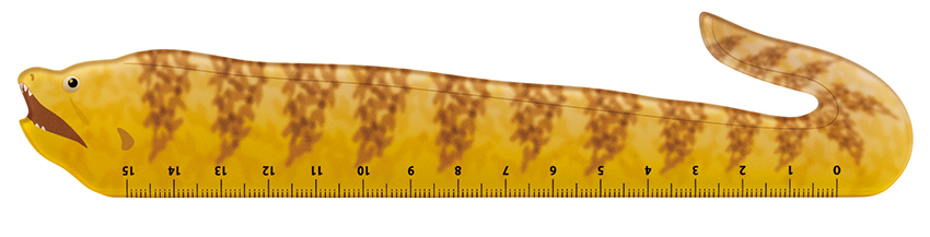 ■デコレ■■2026SS　先行予約■　アクリル定規　ウツボ