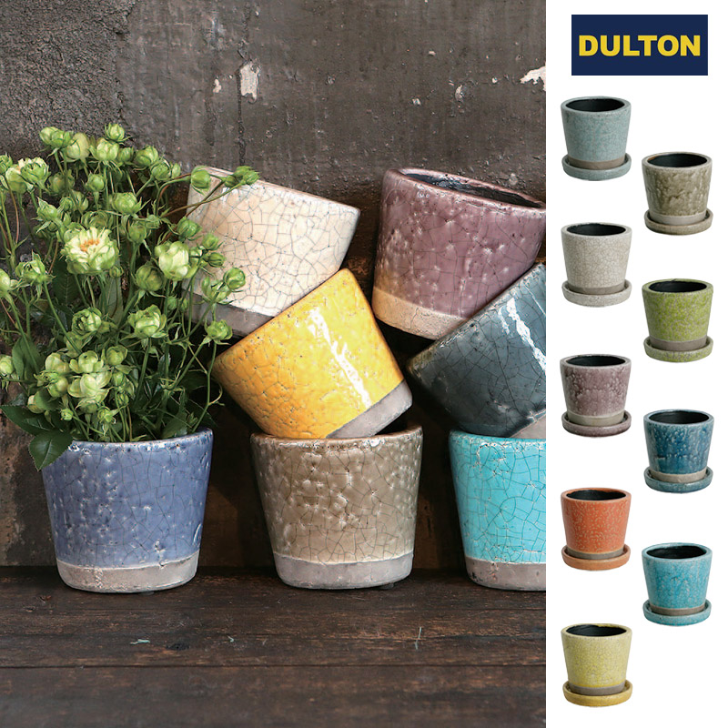 ■ダルトン■■2025AW　先行予約■　Color glazed pot（5号鉢目安）