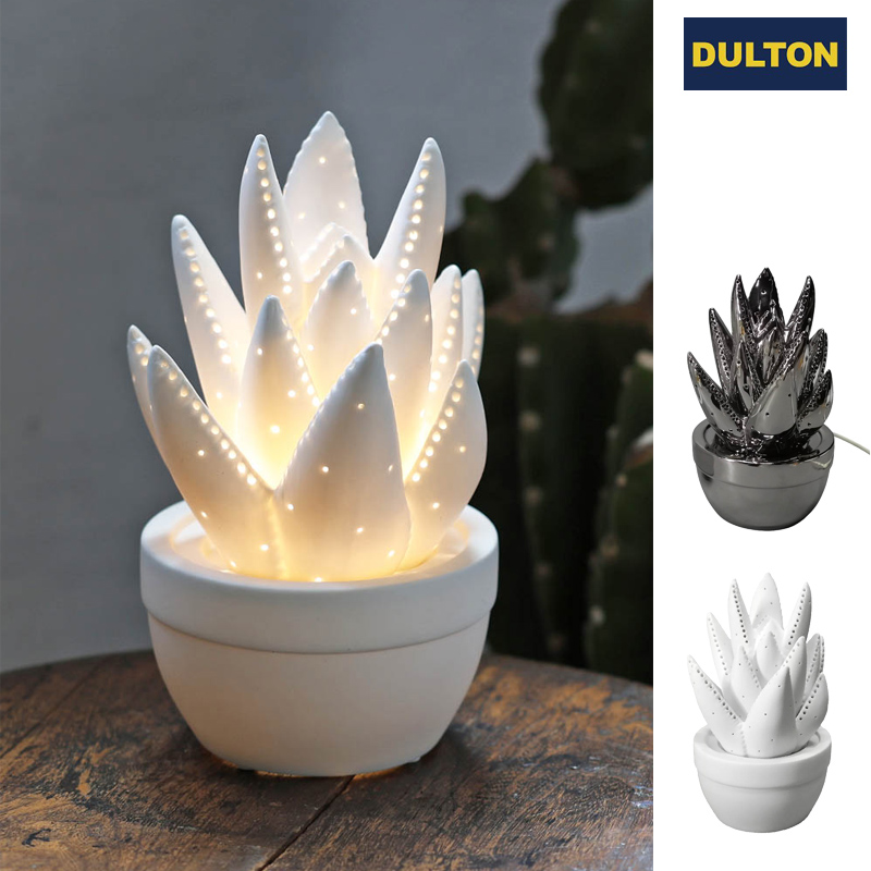■ダルトン■■2025AW　新作■　Porcelain light　Aloe