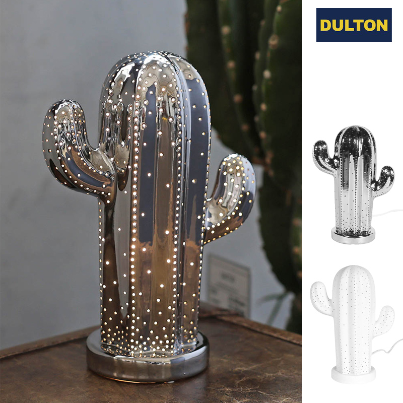 ■ダルトン■■2025AW　新作■　Porcelain light　Cactus