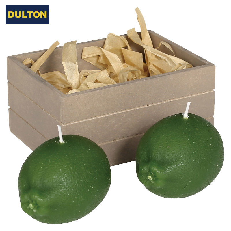 ■ダルトン■■2025X'mas　先行予約■　Candle set of 2　A　Lime
