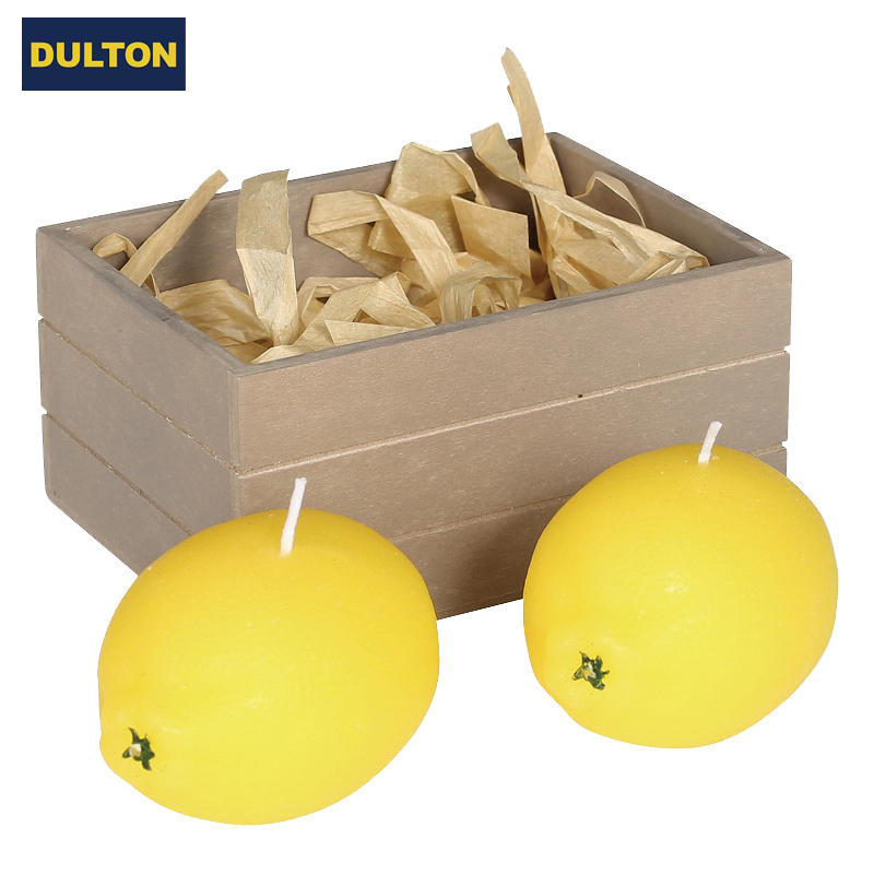 ■ダルトン■■2025X'mas　先行予約■　Candle set of 2　B　Lemon