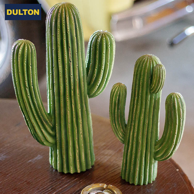 ■ダルトン■　CACTUS