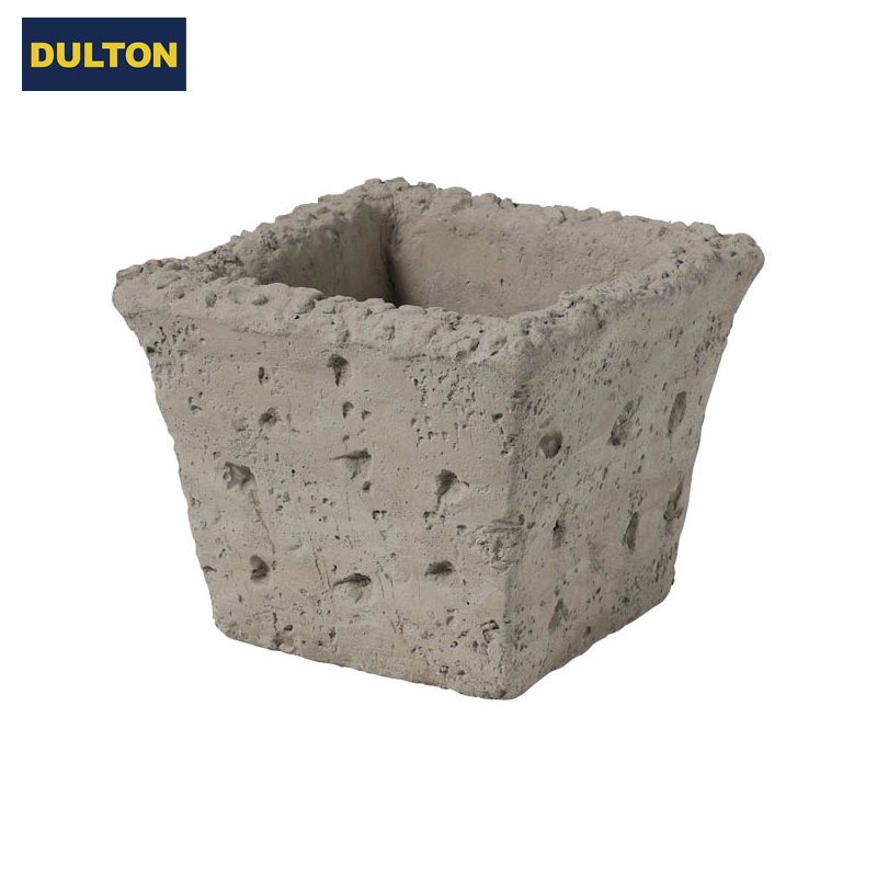 ■ダルトン■■2026SS　新作■　Cheepo　Creamy