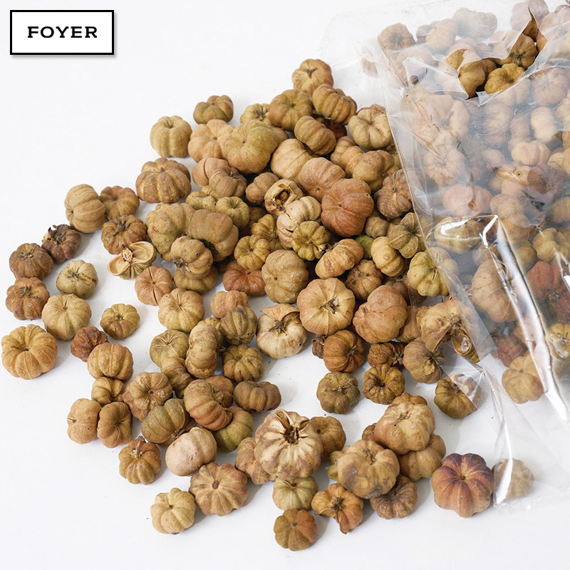 ■FOYER（ホワイエ）■■2025AW　新作■　RM プッカポッド（約100g）