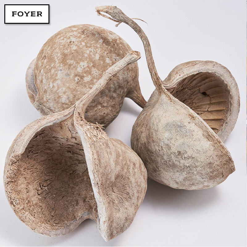 ■FOYER（ホワイエ）■■2025AW　新作■　RM ブッダナッツ ホワイト 4個セット