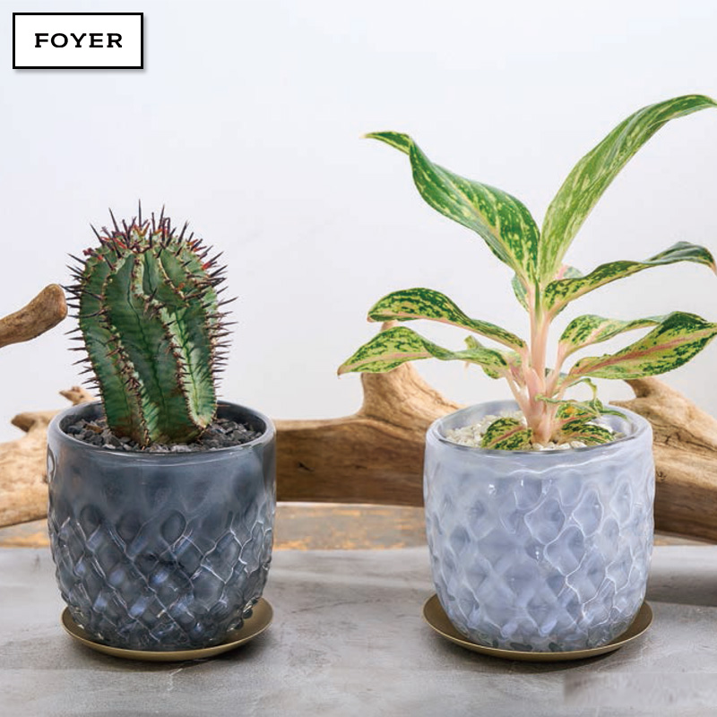 ■FOYER（ホワイエ）■■2025AW　新作■　DG ガラスアールポット＆ソーサー