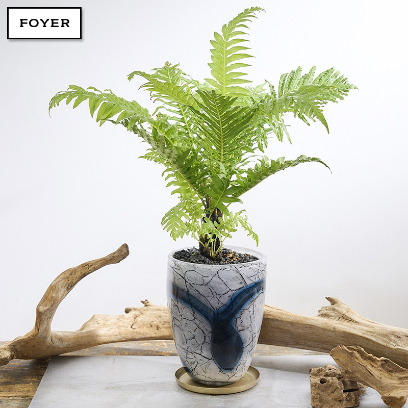 ■FOYER（ホワイエ）■■2025AW　新作■　DG ガラスリバーポット＆ソーサー　アイル