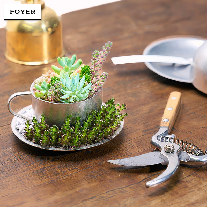 ■FOYER（ホワイエ）■■2026AW　新作■　SSDW　Botanical　Round　Cup　Pot＆Saucer