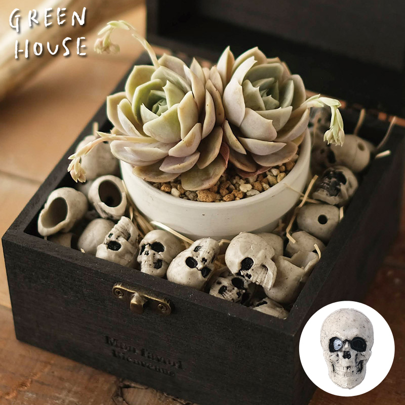■GREEN HOUSE(グリーンハウス）■■2025ハロウィン　先行予約■　ミニスカルパーツ（約30個入り）