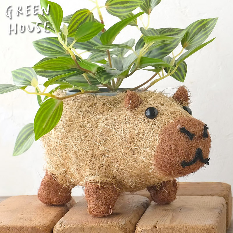 ■GREEN HOUSE(グリーンハウス）■■2025AW　先行予約■　ひだまりアニマルポット　カピバラ
