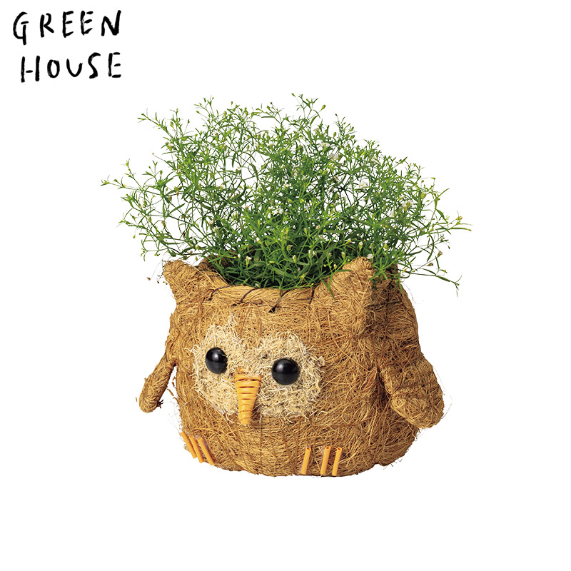 ■GREEN HOUSE(グリーンハウス）■■2026SS　先行予約■　ひだまりアニマルポット　フクロウ