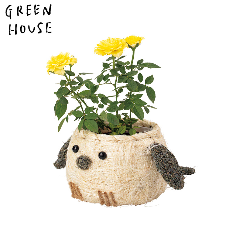 ■GREEN HOUSE(グリーンハウス）■■2026SS　先行予約■　ひだまりアニマルポット　シマエナガ