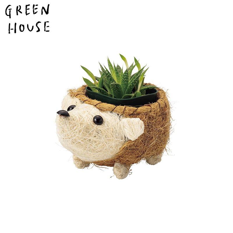 ■GREEN HOUSE(グリーンハウス）■■2026SS　先行予約■　ひだまりアニマルポット　ハリネズミ