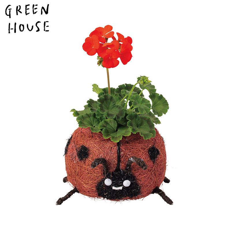 ■GREEN HOUSE(グリーンハウス）■■2026SS　先行予約■　ひだまりアニマルポット　テントウムシ