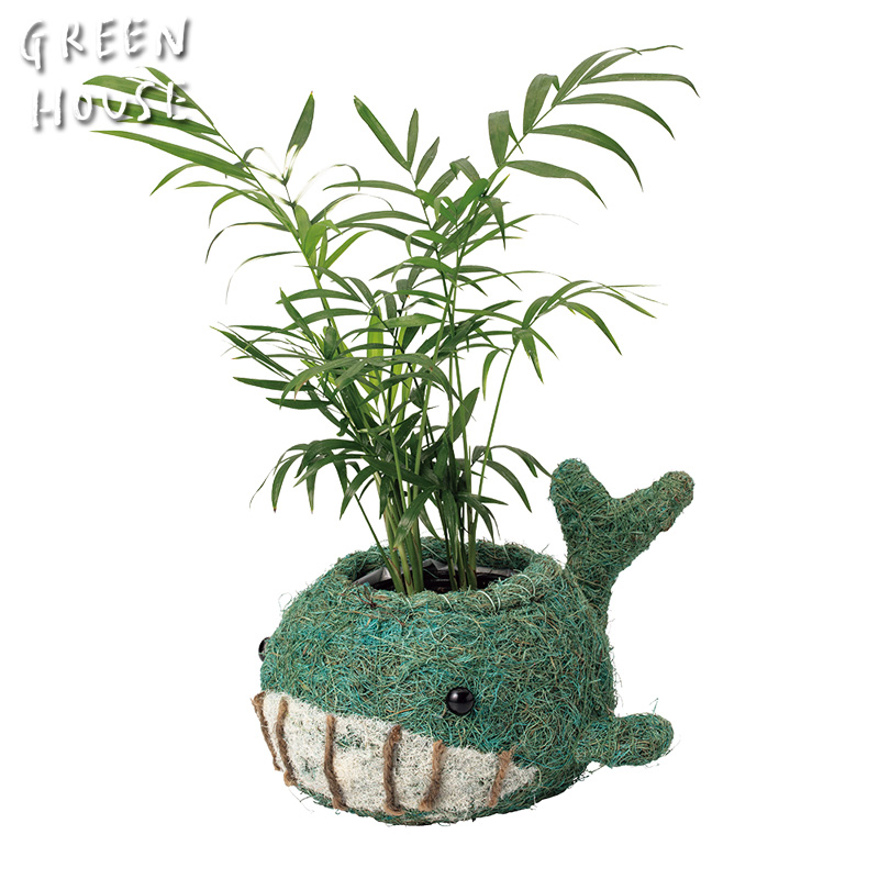 ■GREEN HOUSE(グリーンハウス）■■2026SS　先行予約■　ひだまりアニマルポット　クジラ