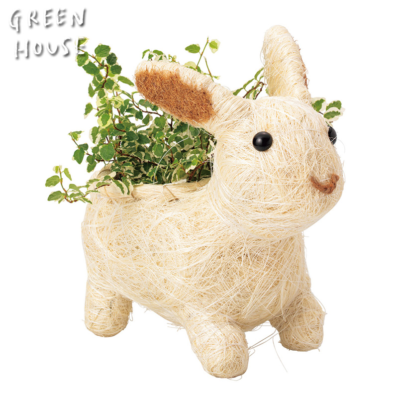 ■GREEN HOUSE(グリーンハウス）■■2026SS　先行予約■　ひだまりアニマルポット　ウサギ