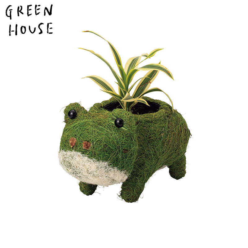 ■GREEN HOUSE(グリーンハウス）■■2026SS　先行予約■　ひだまりアニマルポット　カエル