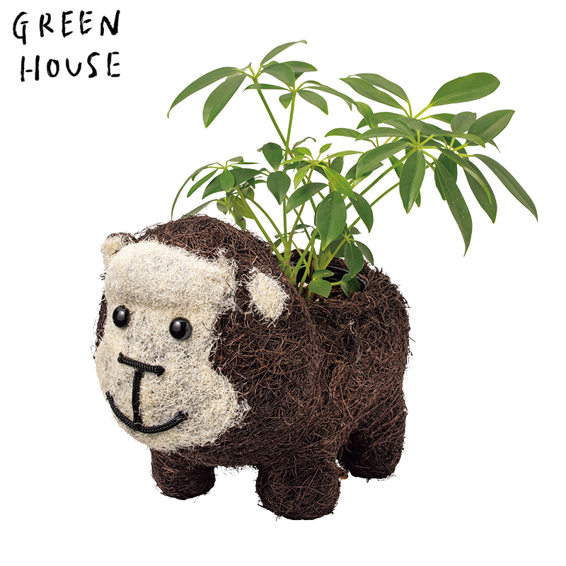 ■GREEN HOUSE(グリーンハウス）■■2026SS　先行予約■　ひだまりアニマルポット　ゴリラ