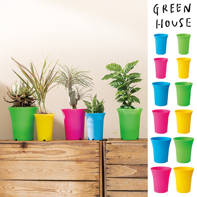 ■GREEN HOUSE(グリーンハウス）■■2026SS　先行予約■　ネオンカラープラポット