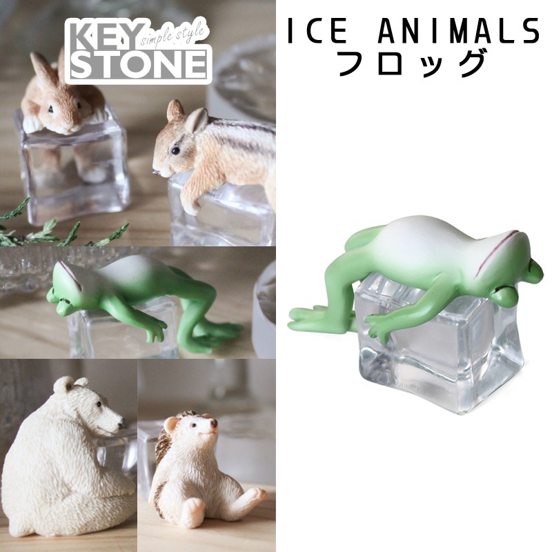 【パディマ限定　特別SALE】■キーストーン■　ICE ANIMALS　フロッグ