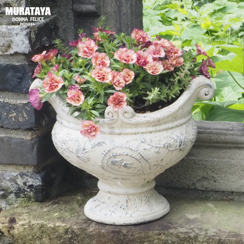 ■村田屋産業■■2026AW　新作■　パンテオンアレンジカップ　Sサイズ