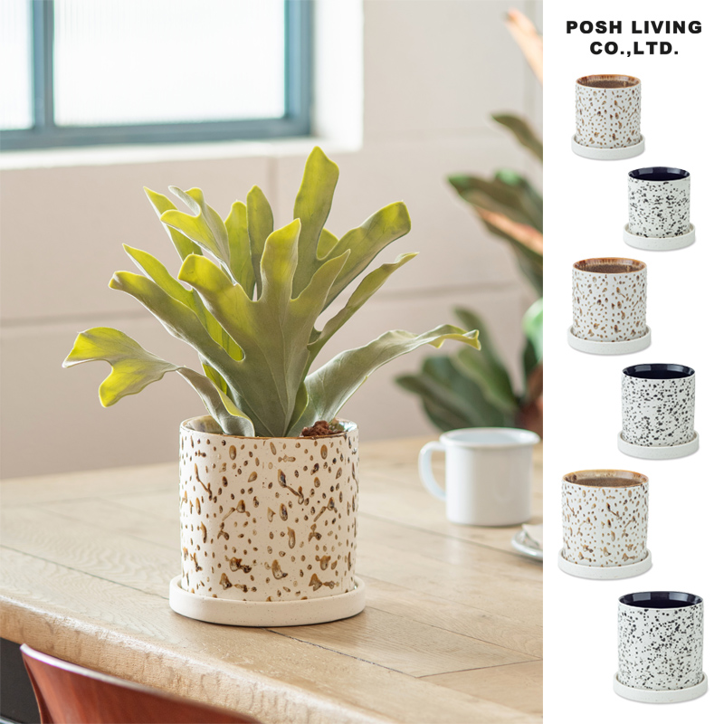 ■ポッシュリビング■■2026SS　先行予約■　ダルミーポット