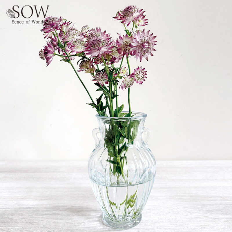 ■SOW（ソウ）■■2026AW　新作■　レトロガラス　フラワーベース　C